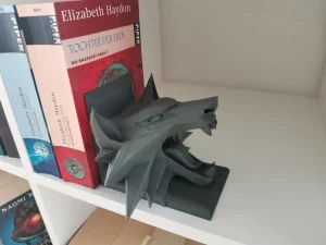 نگه‌دارنده کتاب ویچر